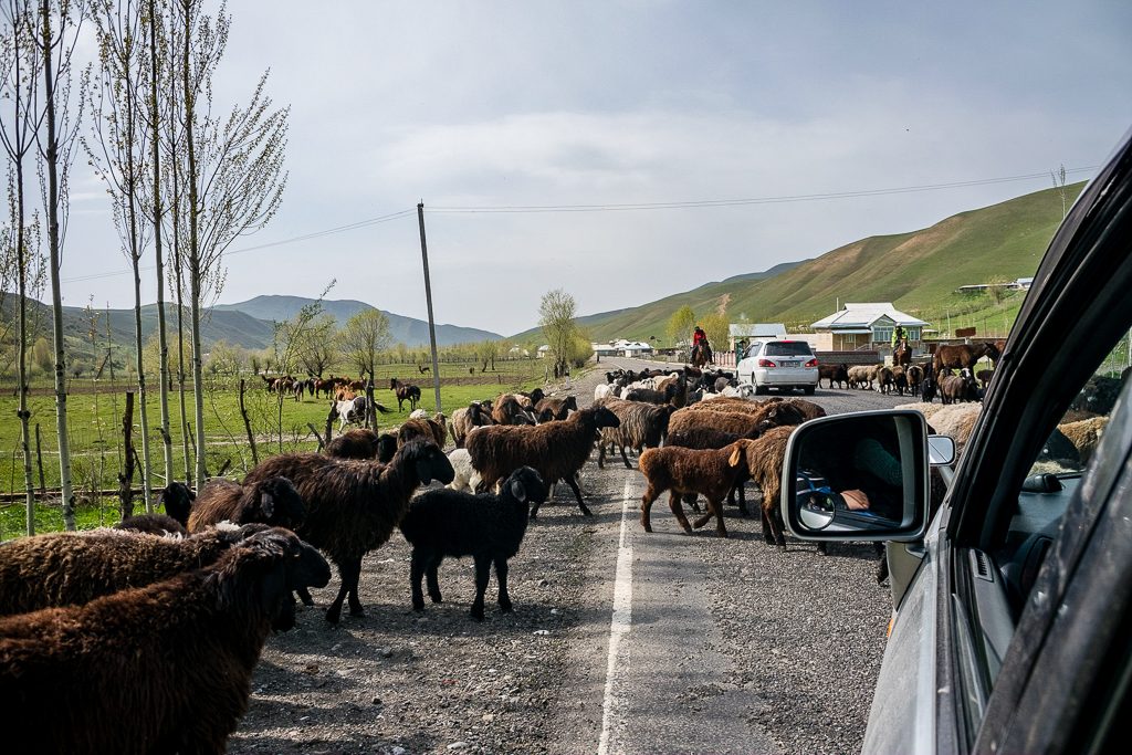 A very standard scene in Kyrgyzstan!