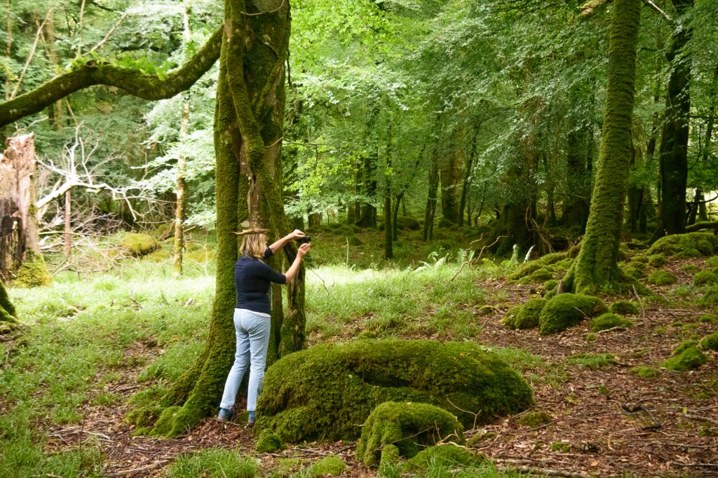 Finally lost it - Irish Photo Fairy Queen